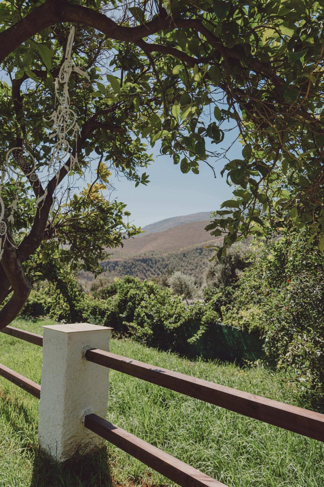 Hotel Taray Botanico Orgiva Exterior photo